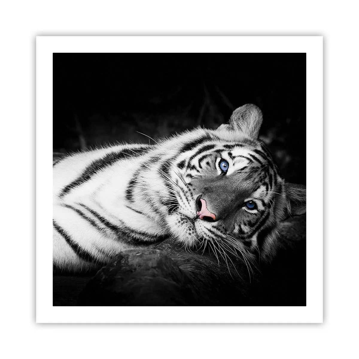 Poster - Wildnis und Frieden - 60x60 cm