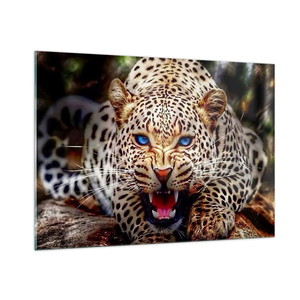 Glasbild - Bild auf glas - Ein wilder blauäugiger Leopard in freier Wildbahn - 100x70cm - Schönheitswut tut nicht weh - Moderne Wanddekoration für Wohnzimmer und Schlafzimmer ARTTOR