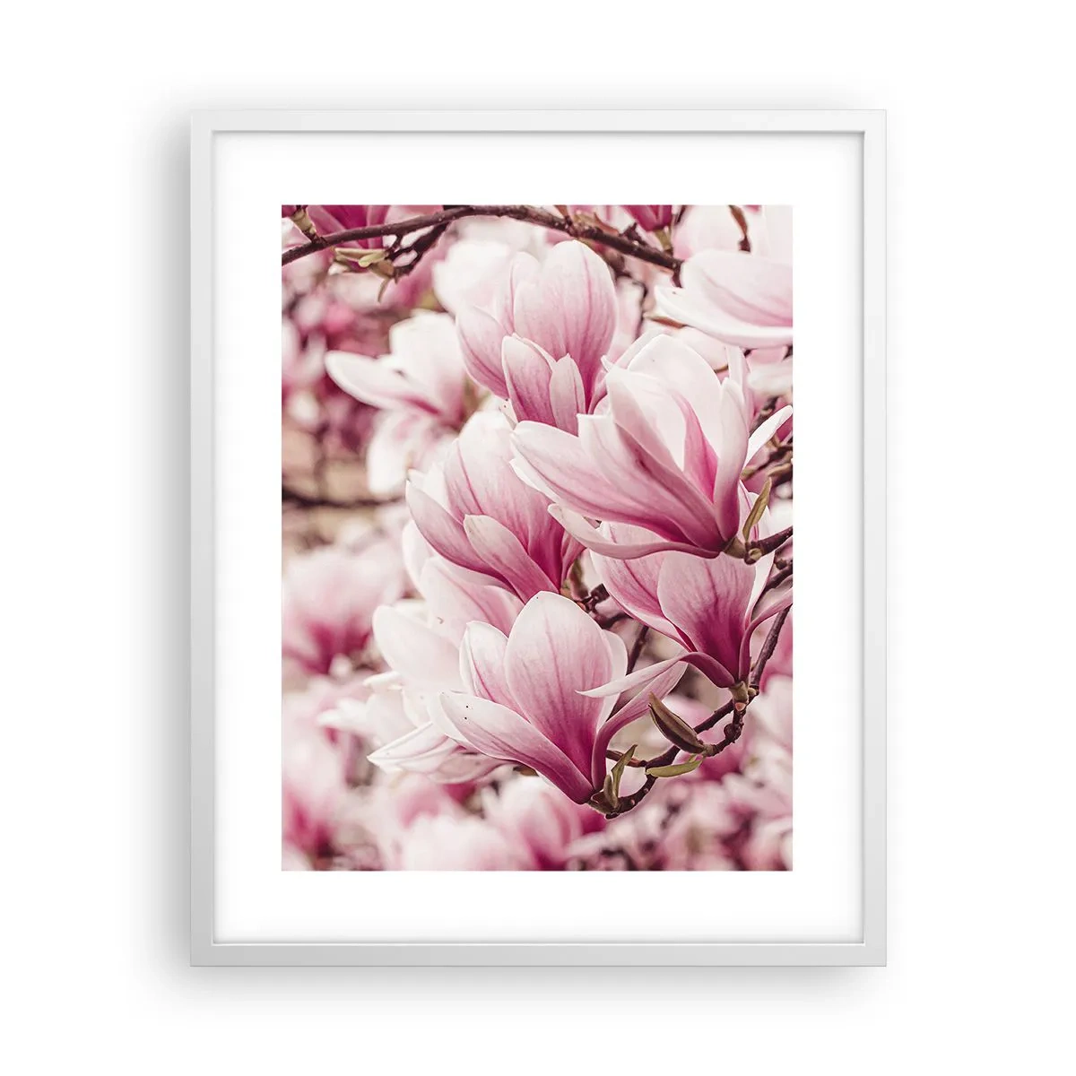 Poster in einem weißen Rahmen - Frühling ist rosa - 40x50 cm