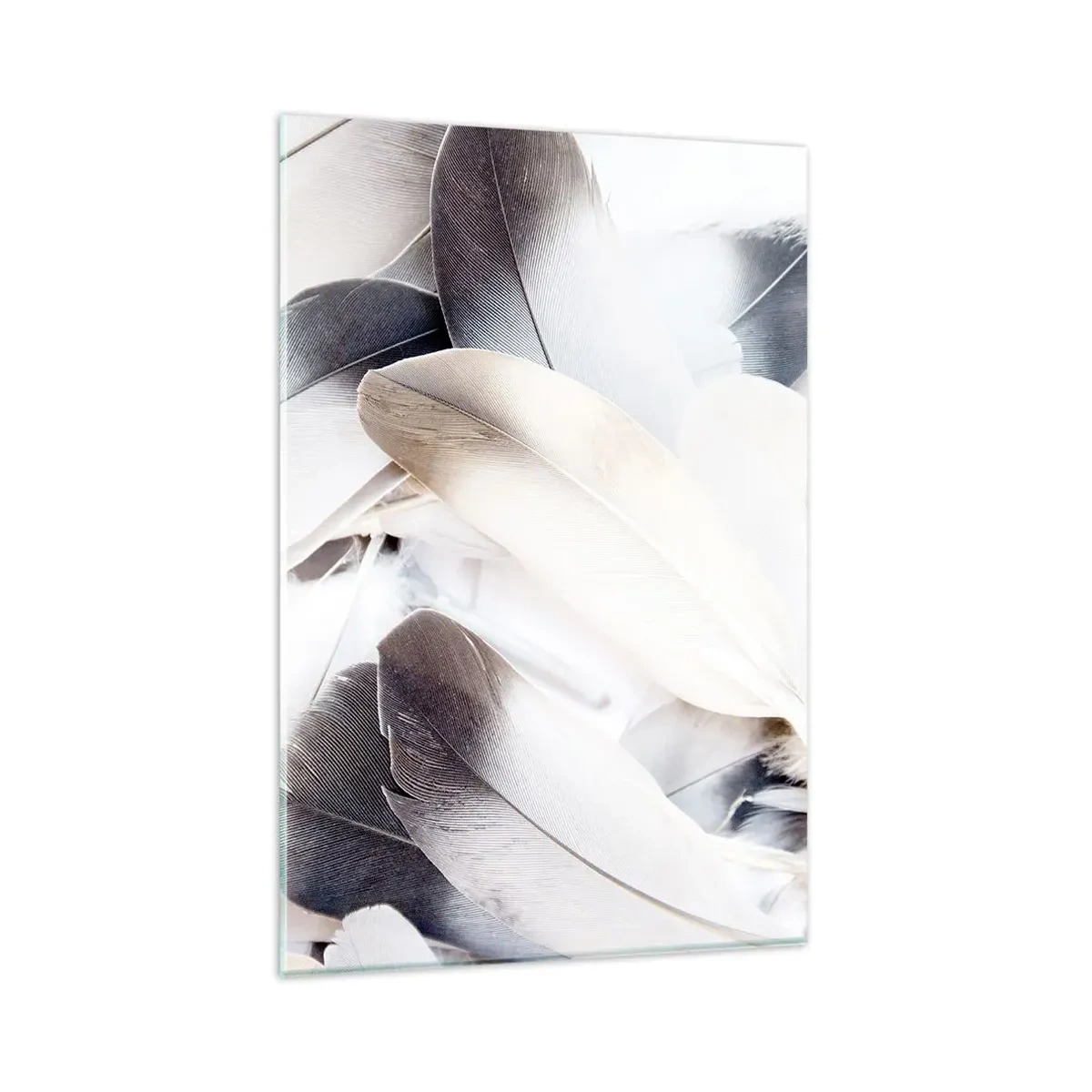 Glasbild - Bild auf glas - Nahaufnahme zarter Federn in Weiß- und Grautönen - 80x120cm - Fast engelhaft - Moderne Wanddekoration für Wohnzimmer und Schlafzimmer ARTTOR