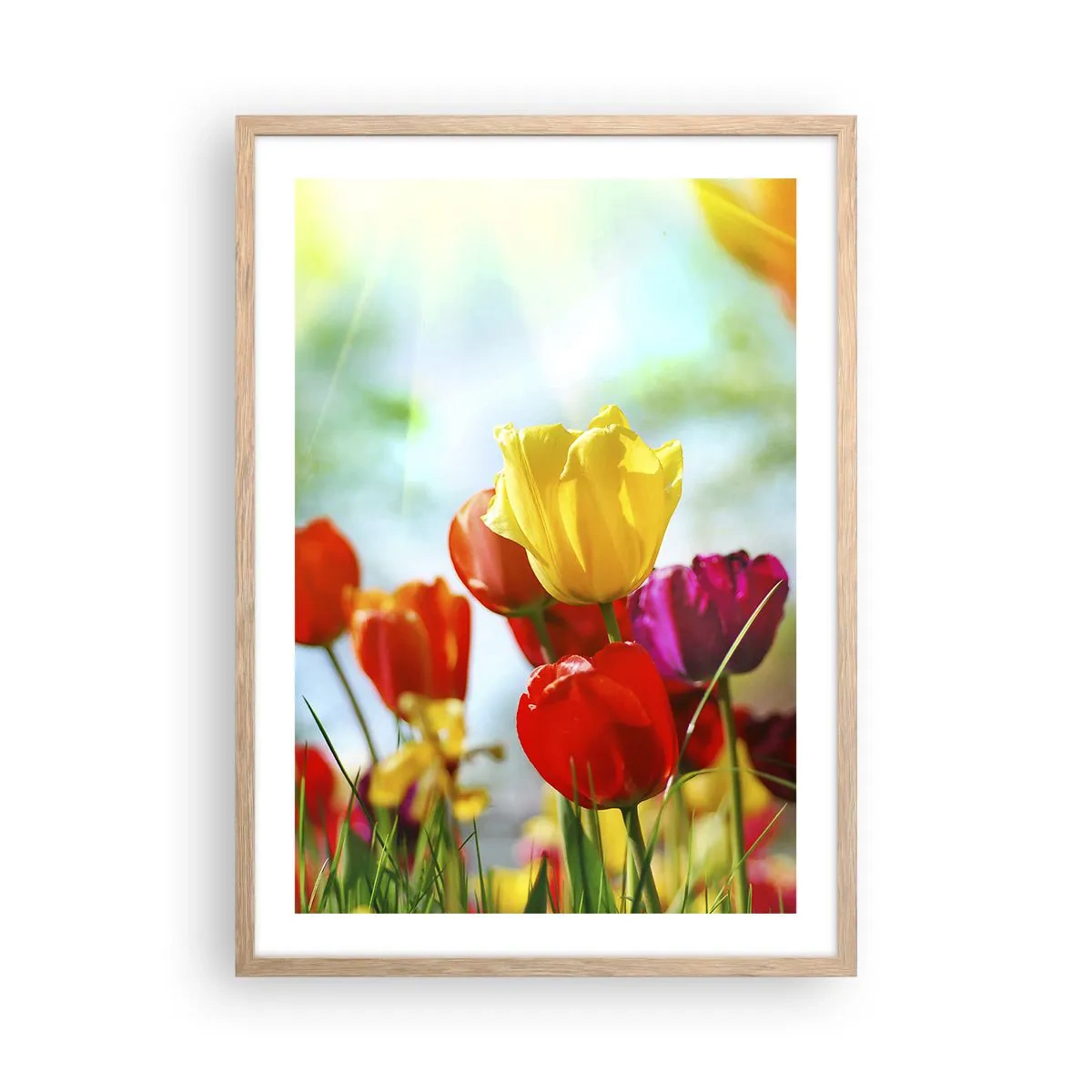 Poster in einem Rahmen aus heller Eiche - Alle Farben der Sonne - 50x70 cm