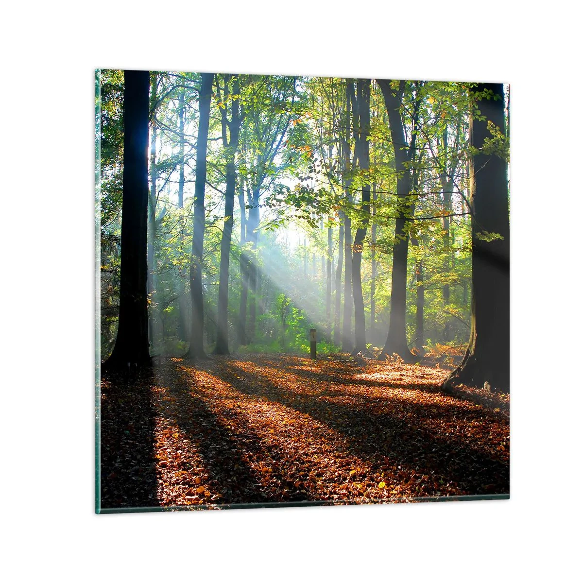 Glasbild - Bild auf glas - Licht und Schatten - 40x40 cm