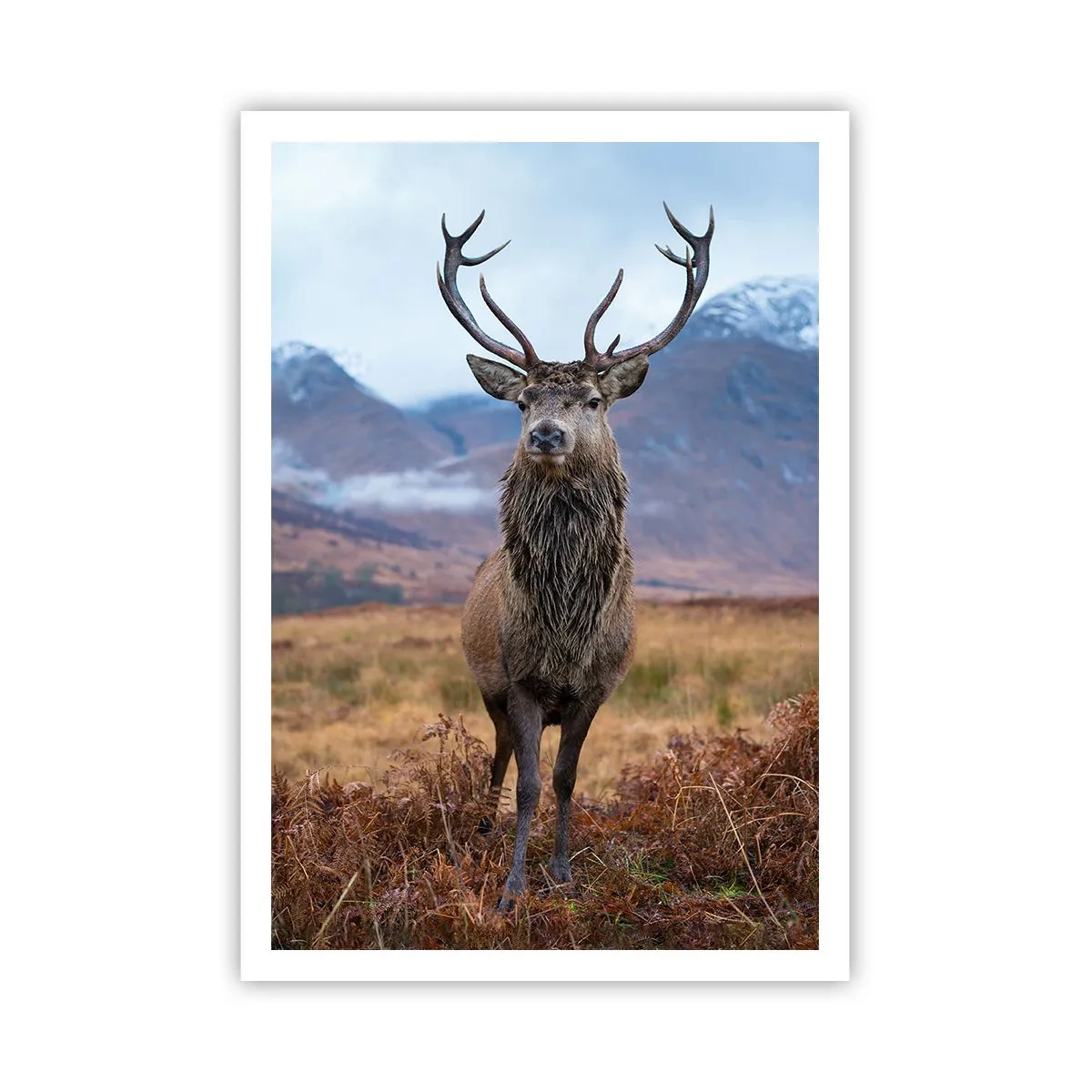 Poster - Auf eigenem Land - 70x100 cm