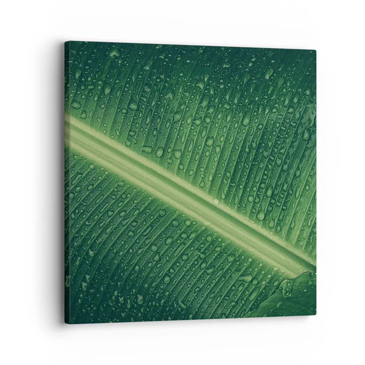 Bild auf Leinwand - Leinwandbild - Die Struktur des Grüns - 30x30 cm