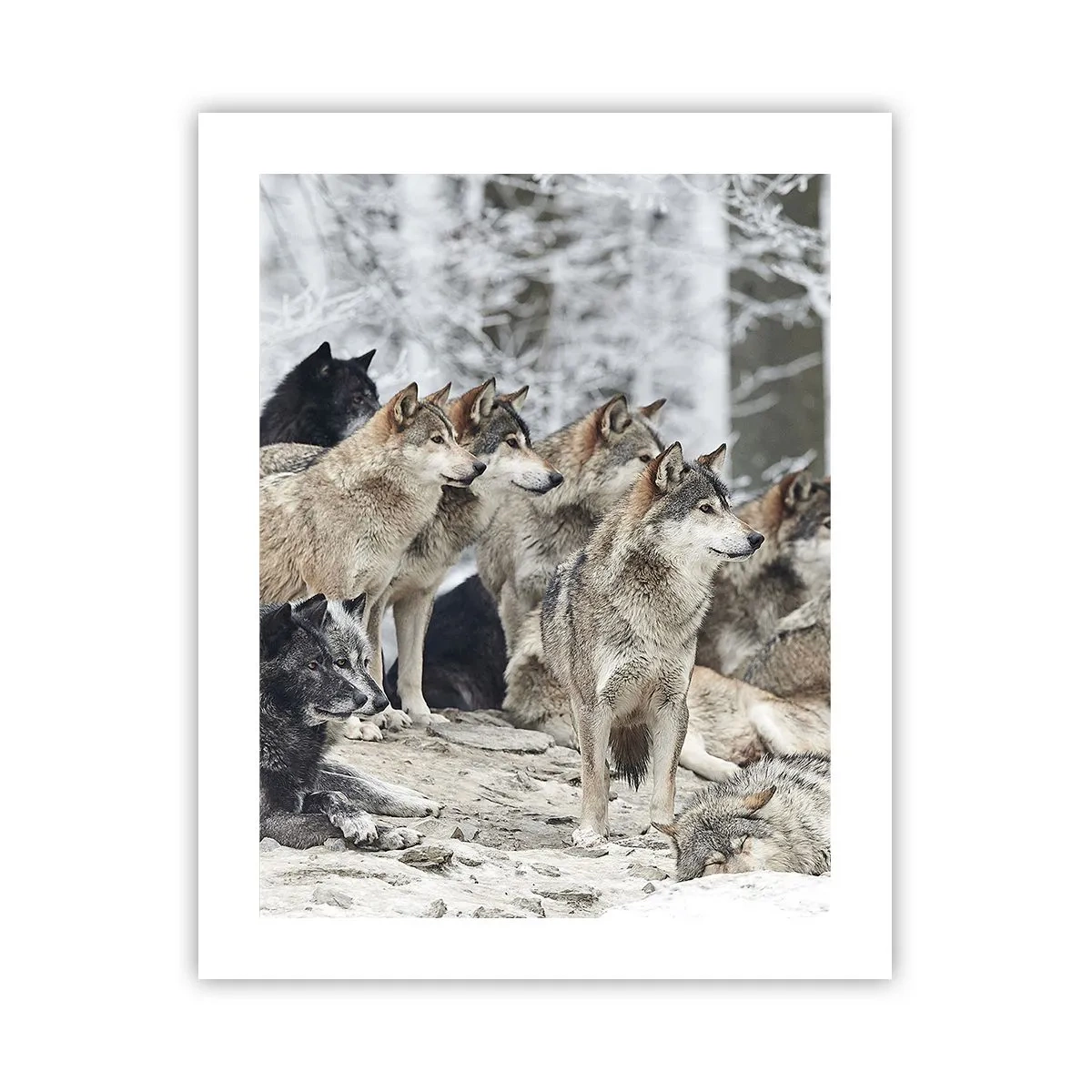Poster - Familie und Freunde - 40x50 cm