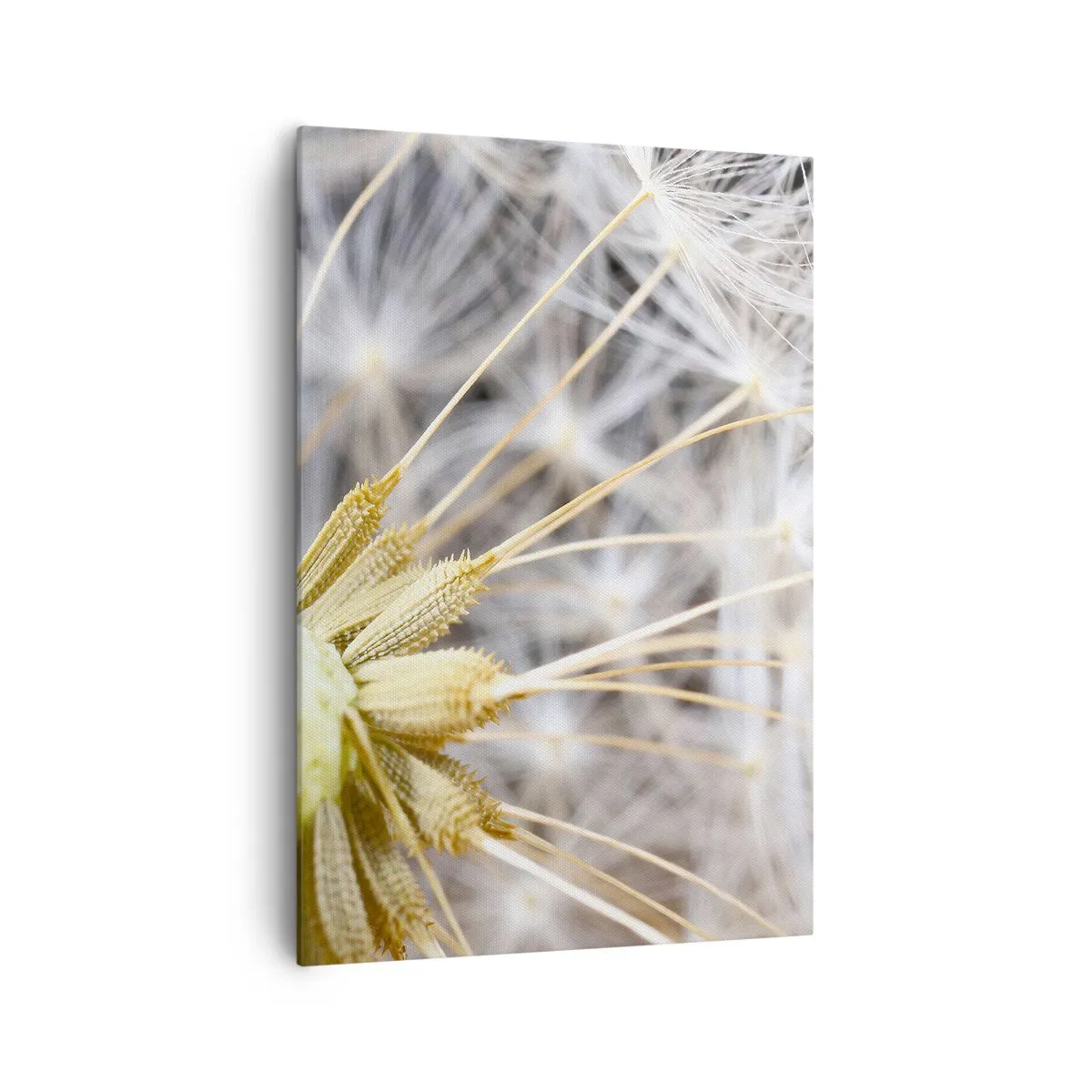 Bild auf Leinwand - Leinwandbild - Makrofotografie eines Löwenzahns mit zarten Samen - 70x100cm - Kurz vor dem Abflug - Moderne Wanddekoration für Wohnzimmer und Schlafzimmer ARTTOR