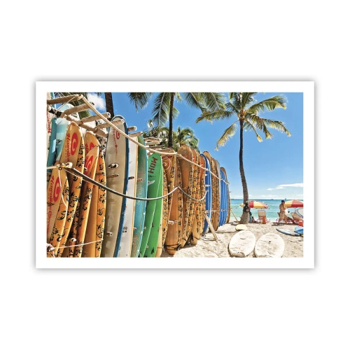 Poster - Sonniger Spaß - 91x61 cm