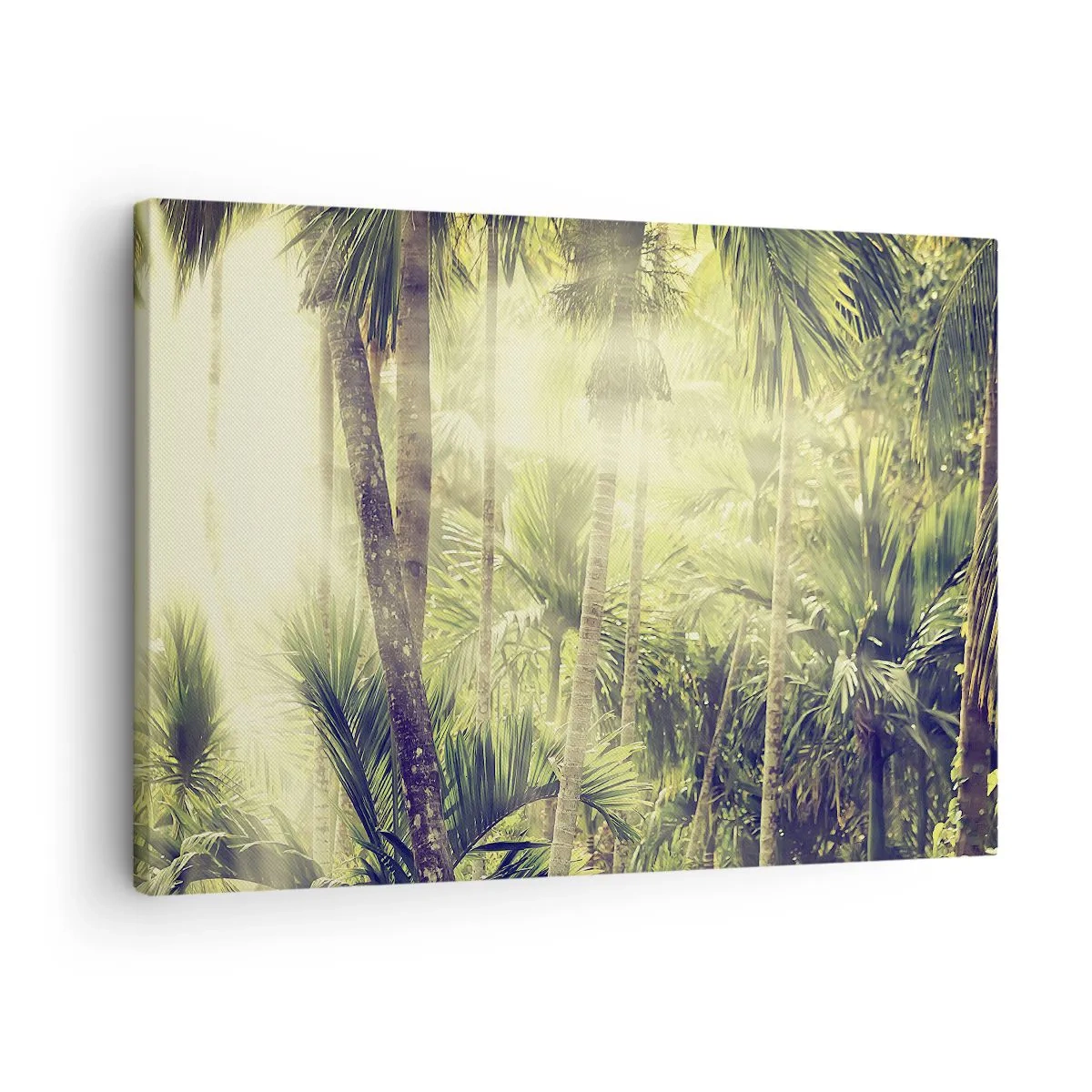 Bild auf Leinwand - Leinwandbild - Sonnenstrahlen in einem tropischen Palmenwald - 70x50cm - In grüner Hitze - Moderne Wanddekoration für Wohnzimmer und Schlafzimmer ARTTOR