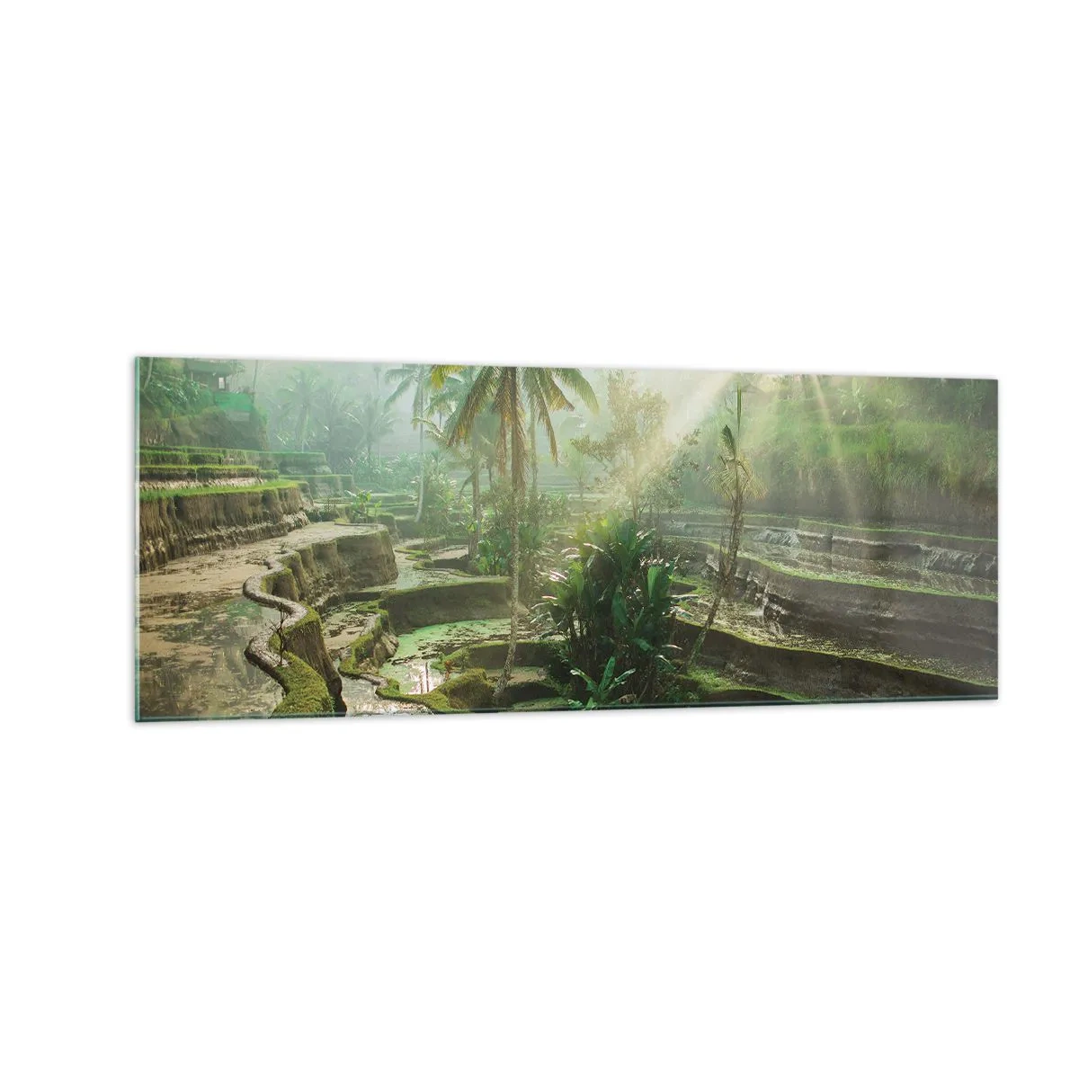 Glasbild - Bild auf glas - Reisterrassen mit Palmen in den Sonnenstrahlen - 140x50cm - In der Sonne aufwachsen - Moderne Wanddekoration für Wohnzimmer und Schlafzimmer ARTTOR