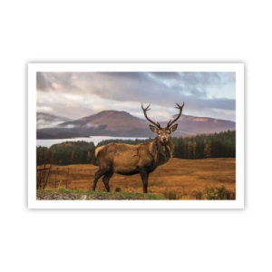 Poster - Die Majestät der Natur - 91x61 cm