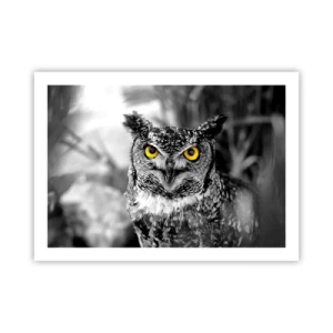 Poster - Nichts wird sich verstecken - 70x50 cm