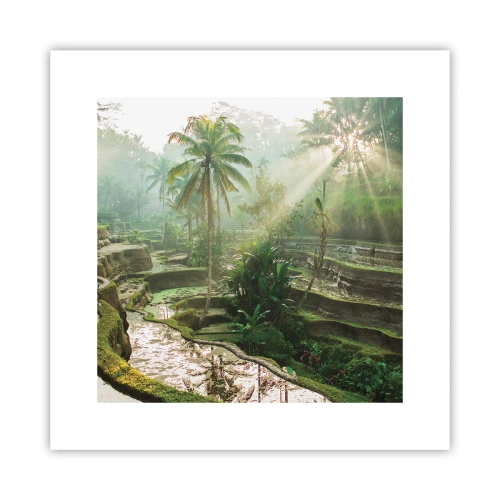 Poster - In der Sonne aufwachsen - 30x30 cm