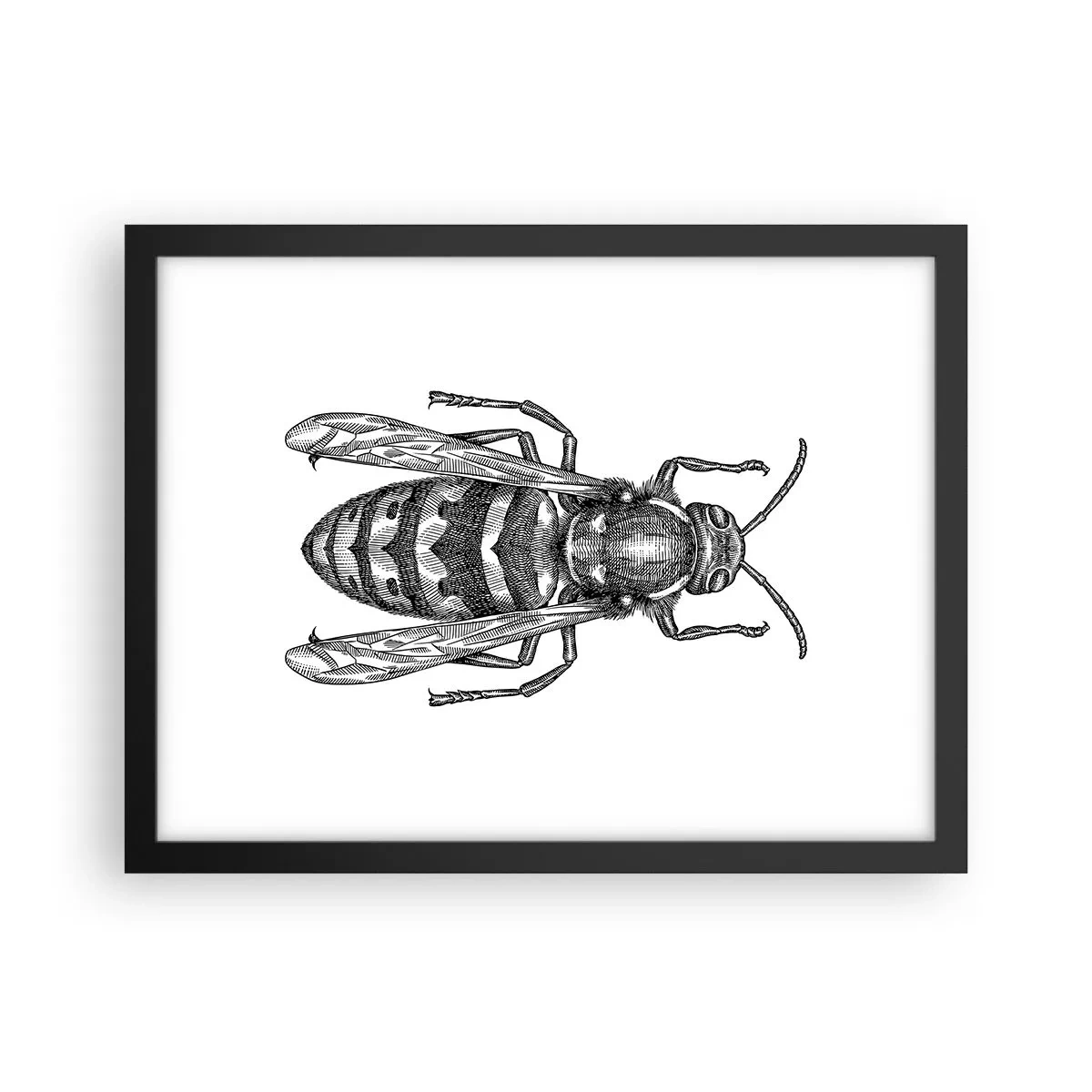 Poster in einem schwarzem Rahmen - Von einem Insektenplaneten - 40x30 cm