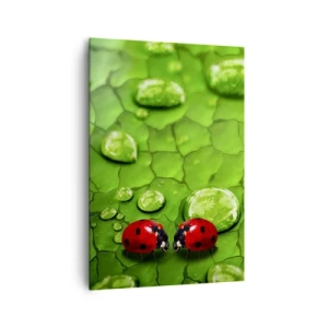 Bild auf Leinwand - Leinwandbild - Zwei Marienkäfer auf einem Blatt mit Wassertropfen in der Makrofotografie - 70x100cm - Treffen im Grünen - Moderne Wanddekoration für Wohnzimmer und Schlafzimmer ARTTOR