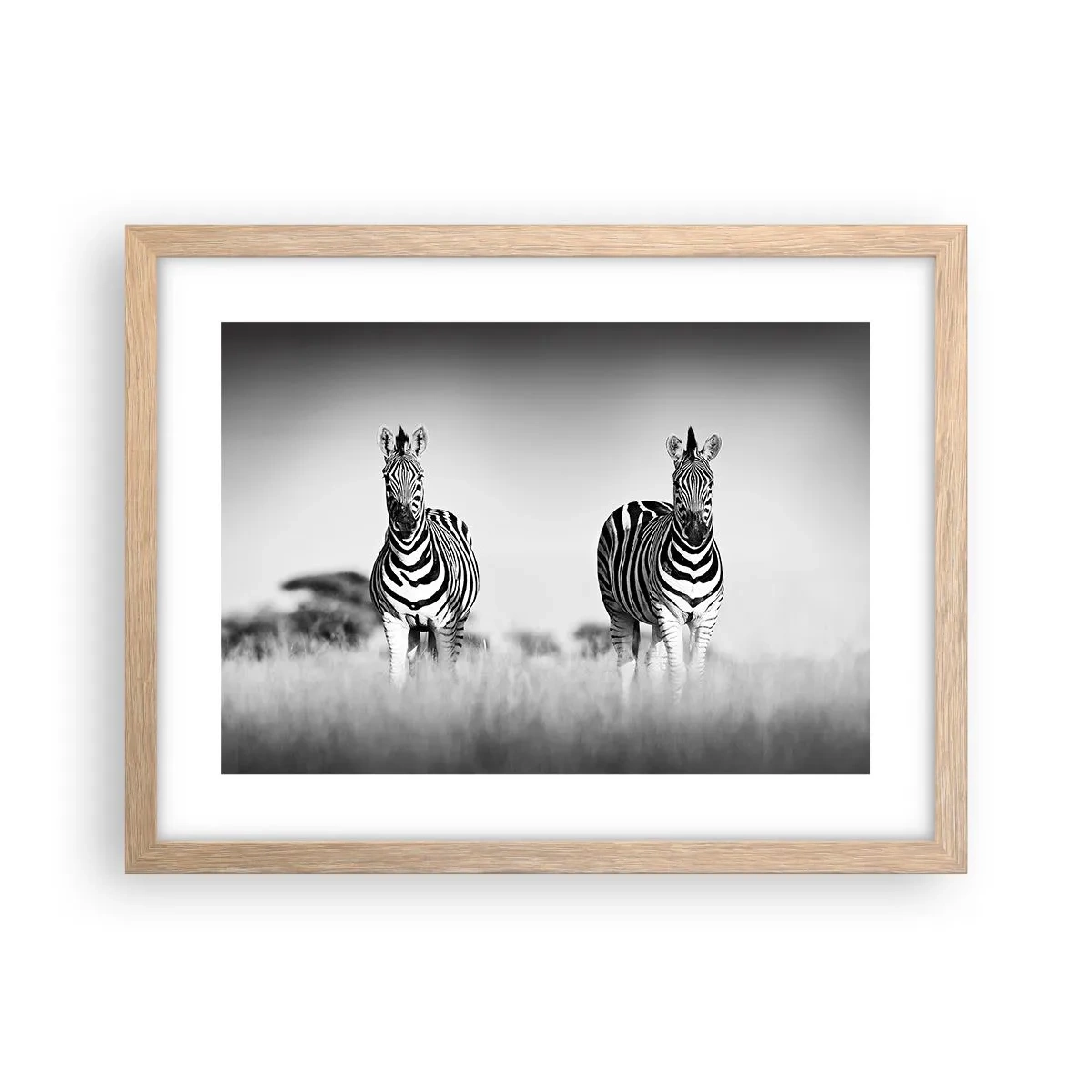 Poster in einem Rahmen aus heller Eiche - Die Welt ist doch schwarz-weiß - 40x30 cm