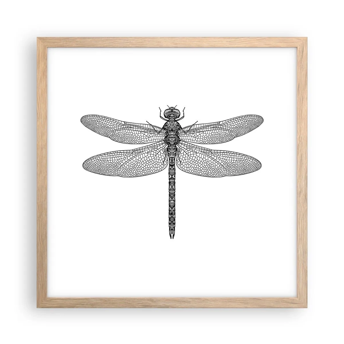 Poster in einem Rahmen aus heller Eiche - Präzision der Natur - 40x40 cm