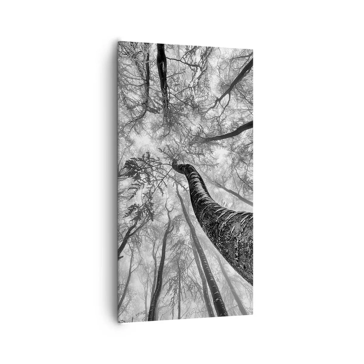 Bild auf Leinwand - Leinwandbild - Rennen zum Licht - 65x120 cm