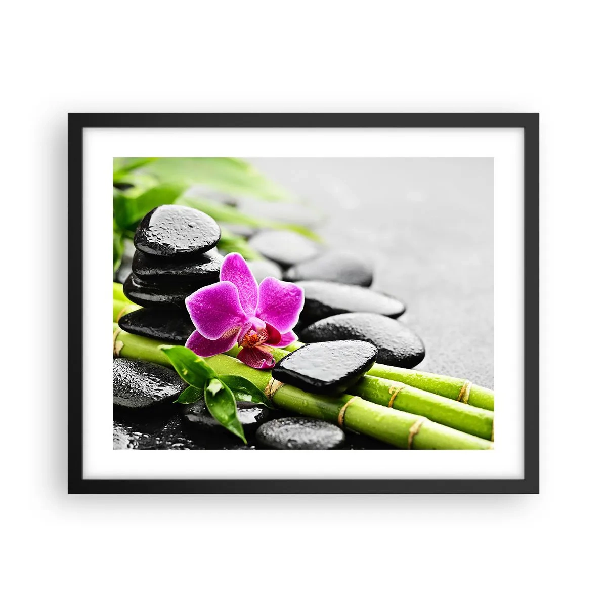 Poster in einem schwarzem Rahmen - In ruhiger Balance - 50x40 cm