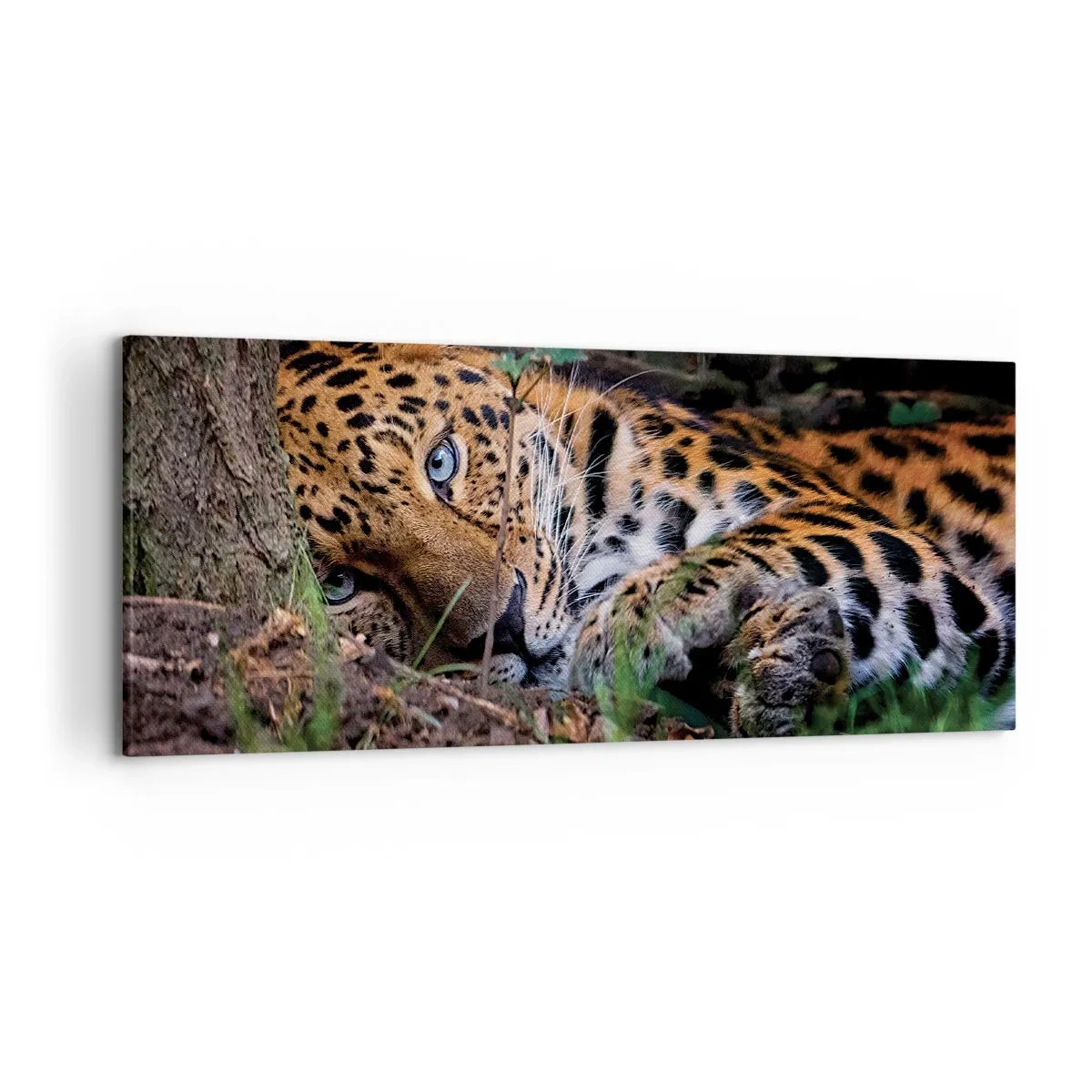 Bild auf Leinwand - Leinwandbild - Ein Leopard, der im Schatten der Bäume liegt - 120x50cm - Vertrau mir - Moderne Wanddekoration für Wohnzimmer und Schlafzimmer ARTTOR