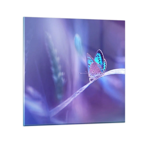 Glasbild - Bild auf glas - Ein Juwel der Natur - 50x50 cm