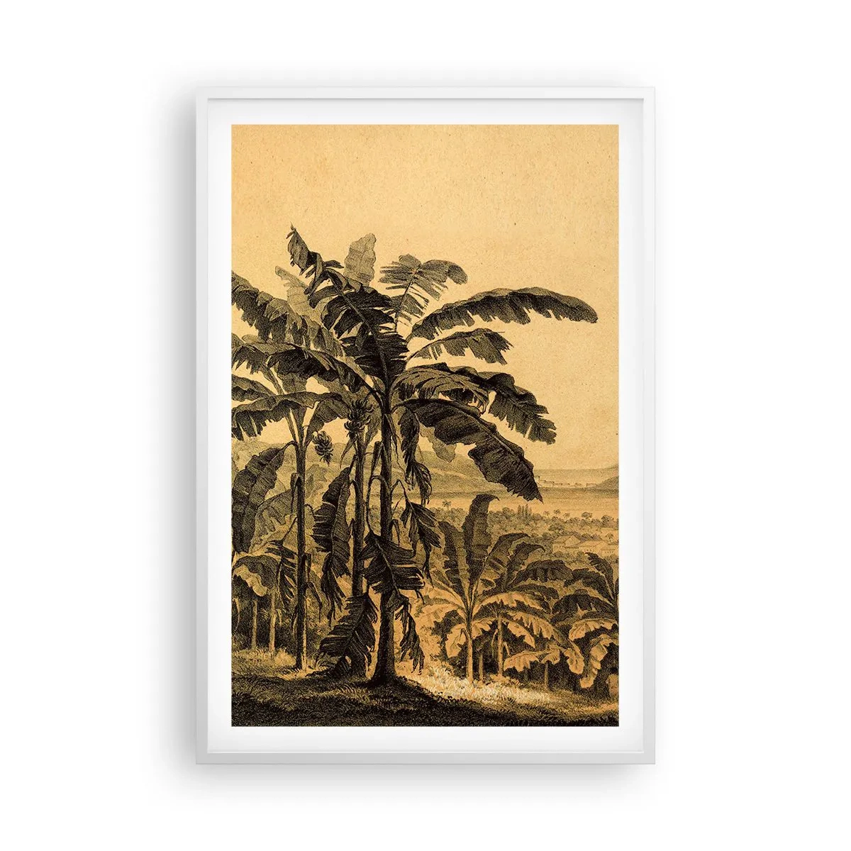 Poster in einem weißen Rahmen - in einem kolonialen Klima - 61x91 cm