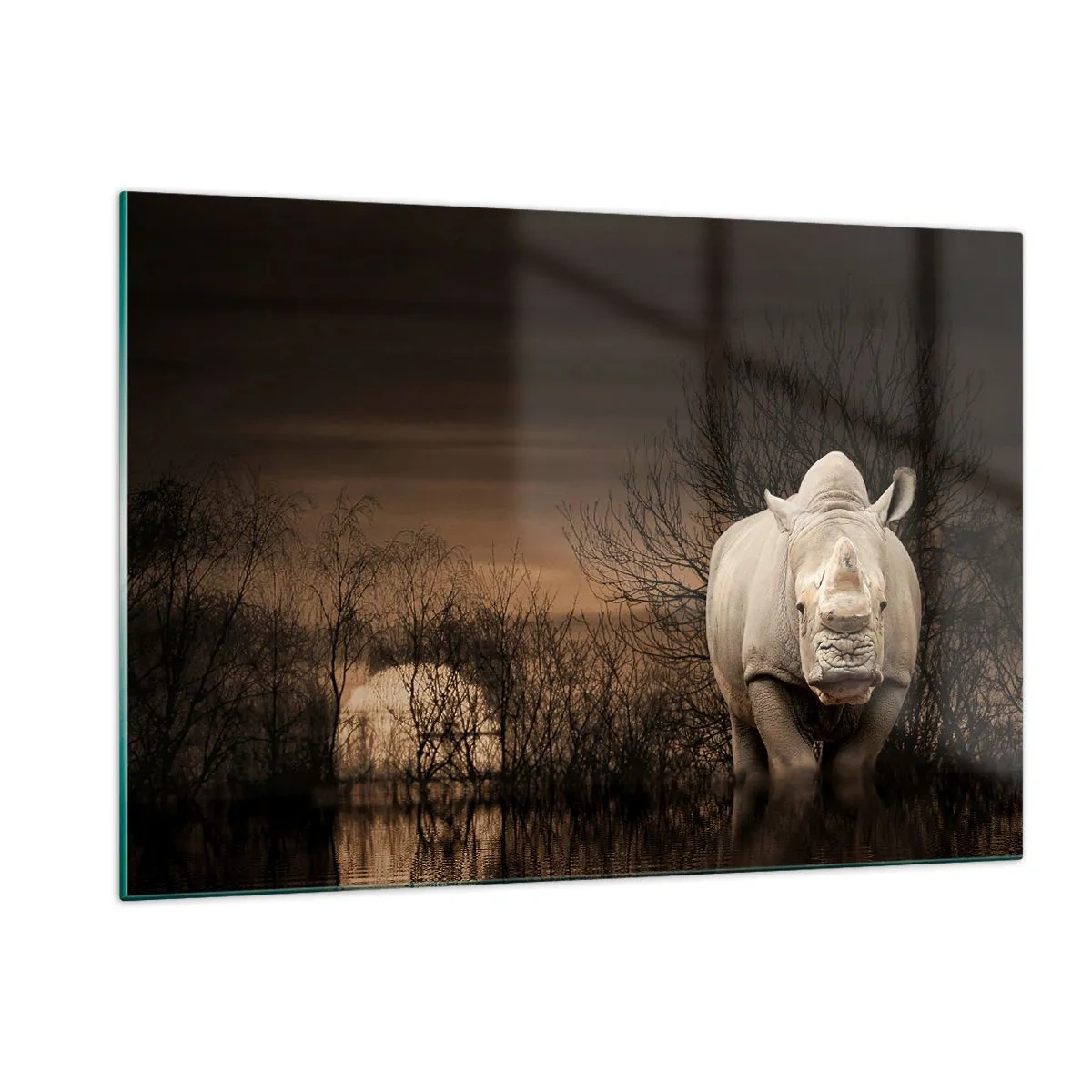 Glasbild - Bild auf glas - Nashorn vor der untergehenden Sonne - 120x80cm - Weiß gegen die Natur - Moderne Wanddekoration für Wohnzimmer und Schlafzimmer ARTTOR