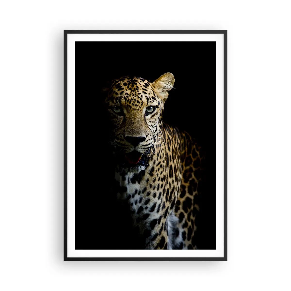 Poster in einem schwarzem Rahmen - Dunkle Schönheit - 70x100 cm