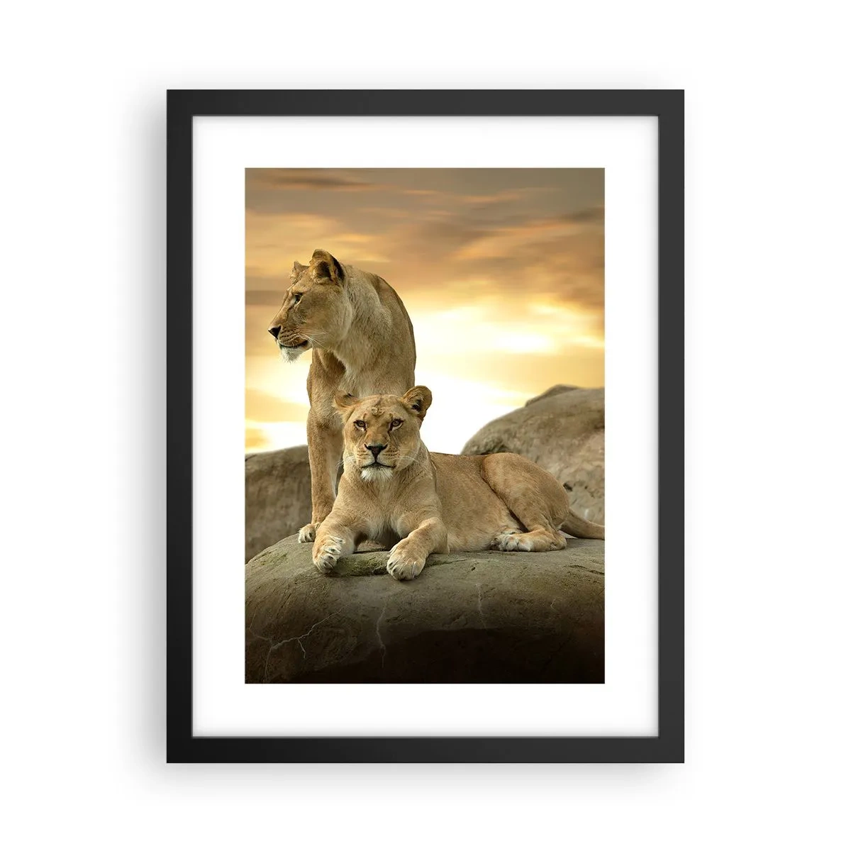 Poster in einem schwarzem Rahmen - Königliche Majestät - 30x40 cm