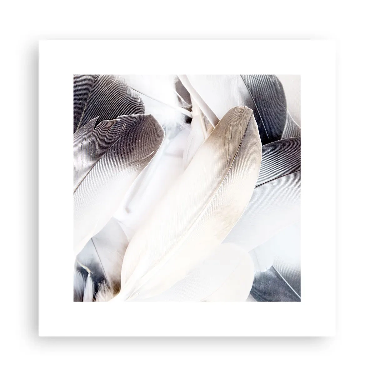 Poster - Fast engelhaft - 30x30 cm