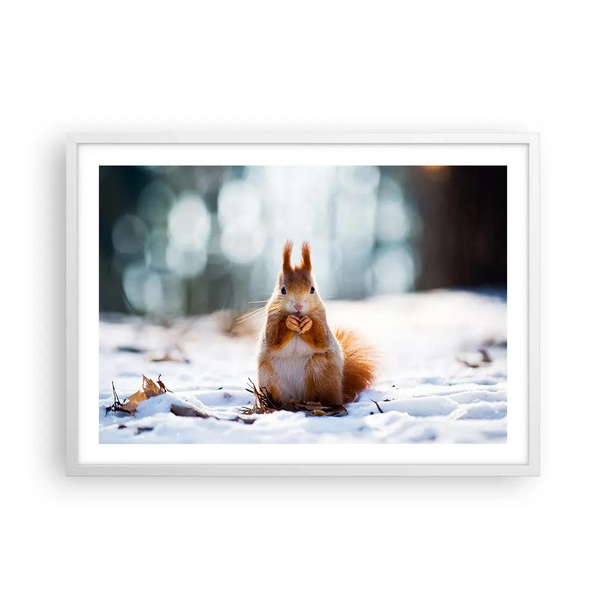 Poster in einem weißen Rahmen - Wo schaust du hin? - 70x50 cm