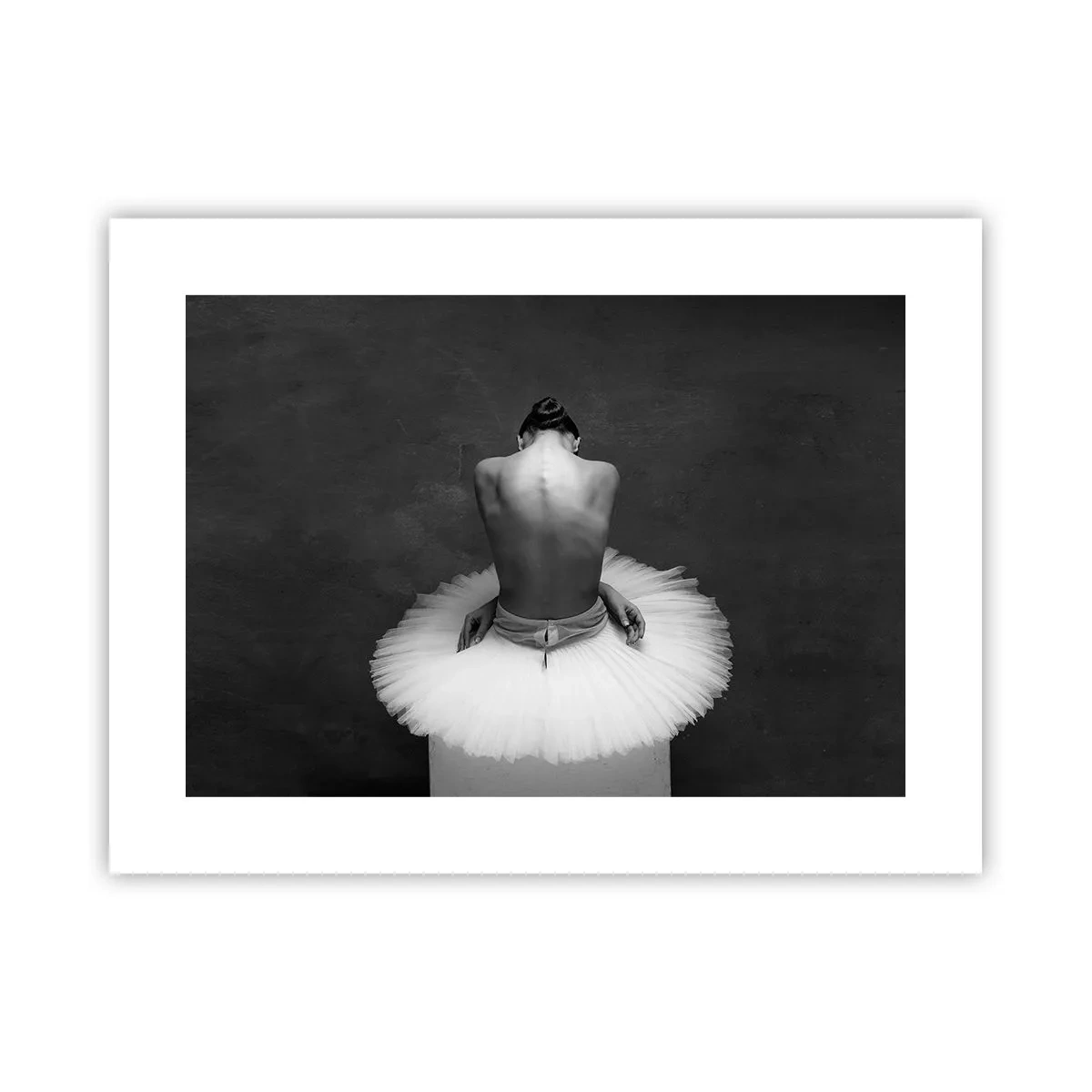 Poster - Es blüht gerade - 40x30 cm