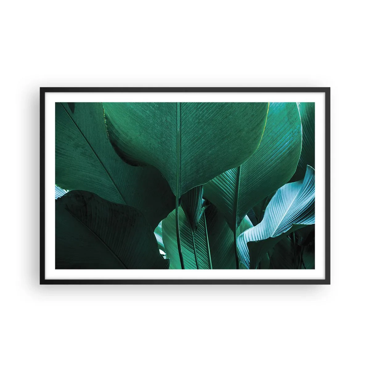 Poster in einem schwarzem Rahmen - Dem Licht zugewandt - 91x61 cm