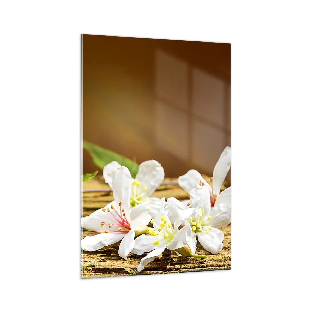 Glasbild - Bild auf glas - Weiße Blumen auf einem hölzernen Hintergrund in natürlichem Licht - 70x100cm - Ein unschuldiges Versprechen - Moderne Wanddekoration für Wohnzimmer und Schlafzimmer ARTTOR