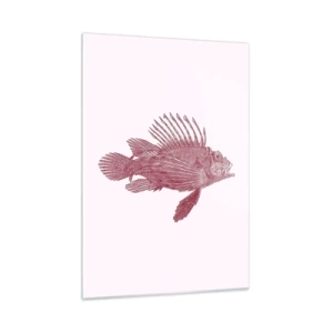 Glasbild - Bild auf glas - Skizze eines exotischen Fisches in Burgunderfarbe auf hellem Hintergrund - 50x70cm - Bewohner exotischer Gewässer - Moderne Wanddekoration für Wohnzimmer und Schlafzimmer ARTTOR