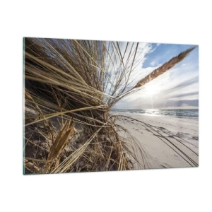 Glasbild - Bild auf glas - Goldenes Gras vor der Kulisse eines Sandstrandes und des Meeres - 120x80cm - Ein Treffen der Elemente der Natur - Moderne Wanddekoration für Wohnzimmer und Schlafzimmer ARTTOR
