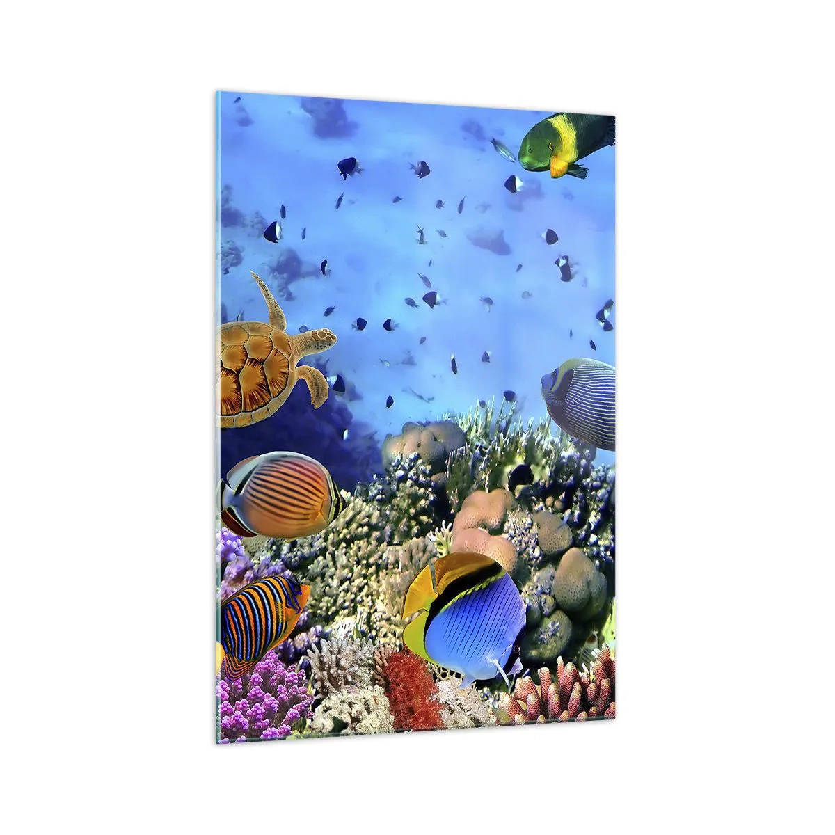 Glasbild - Bild auf glas - Korallenriff mit bunten Fischen und einer Meeresschildkröte - 70x100cm - Und was wissen wir über das Leben ... - Moderne Wanddekoration für Wohnzimmer und Schlafzimmer ARTTOR