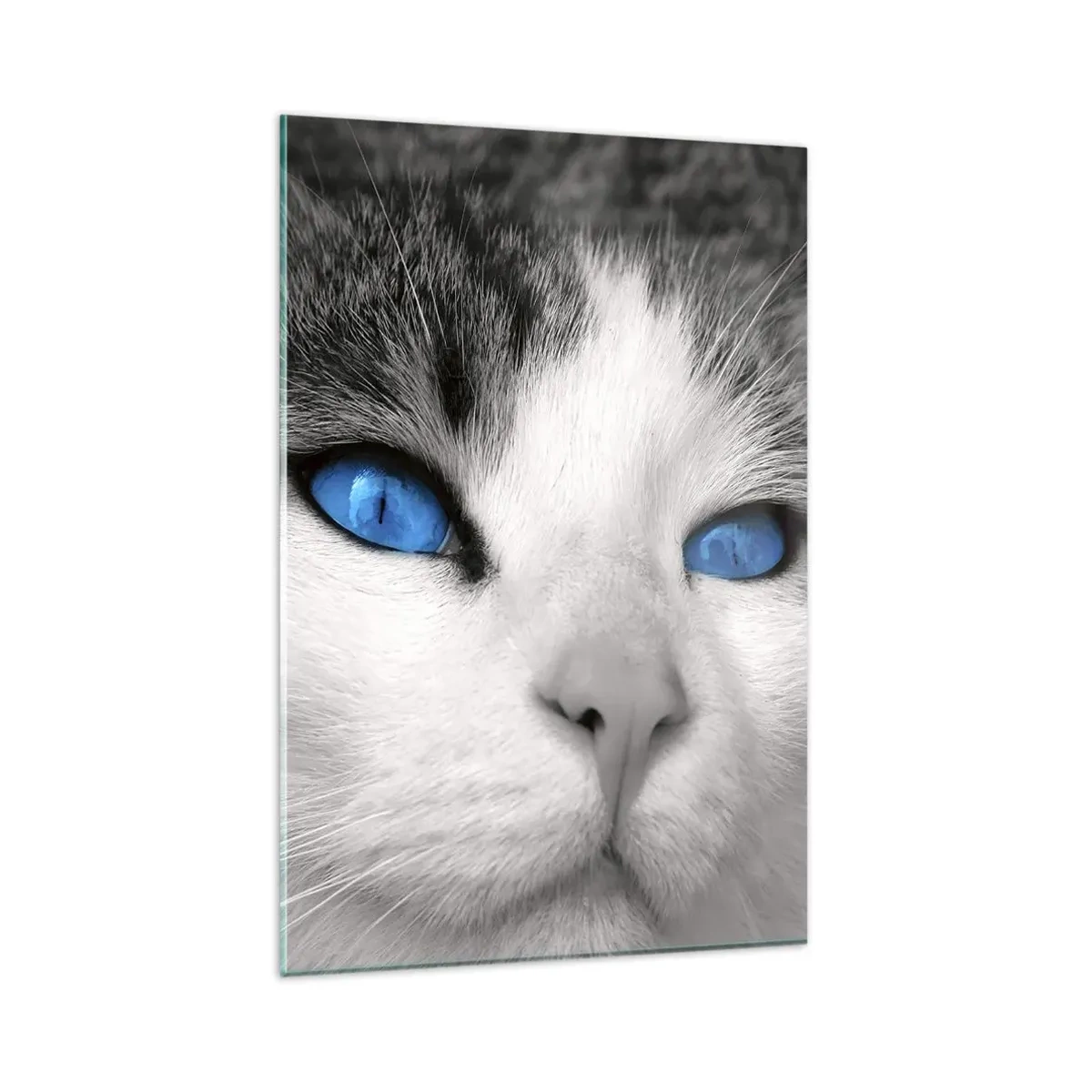 Glasbild - Bild auf glas - Porträt einer Katze mit blauen Augen im Schwarz-Weiß-Stil - 80x120cm - Ungewöhnlich blauäugig - Moderne Wanddekoration für Wohnzimmer und Schlafzimmer ARTTOR