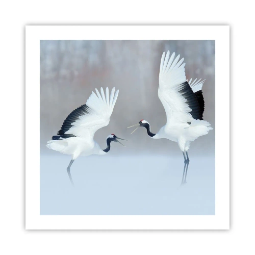 Poster - Tanz im Nebel - 50x50 cm