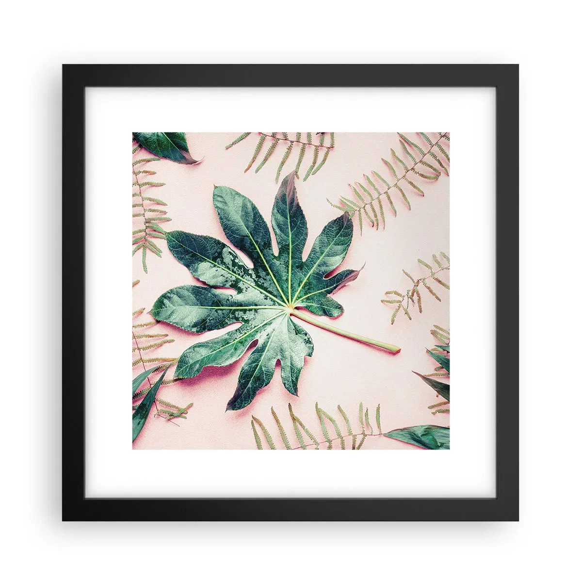 Poster in einem schwarzem Rahmen - Eine Studie von Grün auf einem rosa Hintergrund - 30x30 cm