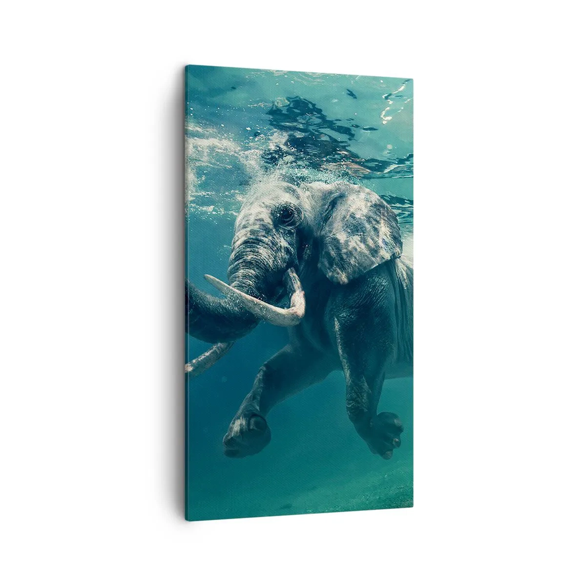 Bild auf Leinwand - Leinwandbild - Jeder schwimmt gerne - 45x80 cm