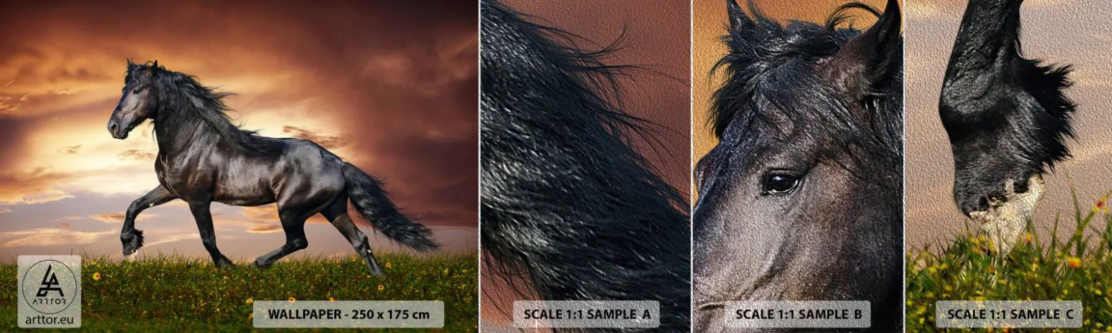 Fototapeten Muster Premium Sand - Schwarzer Prinz - Tiere, arabisches Pferd, Landschaft - 100x30 cm