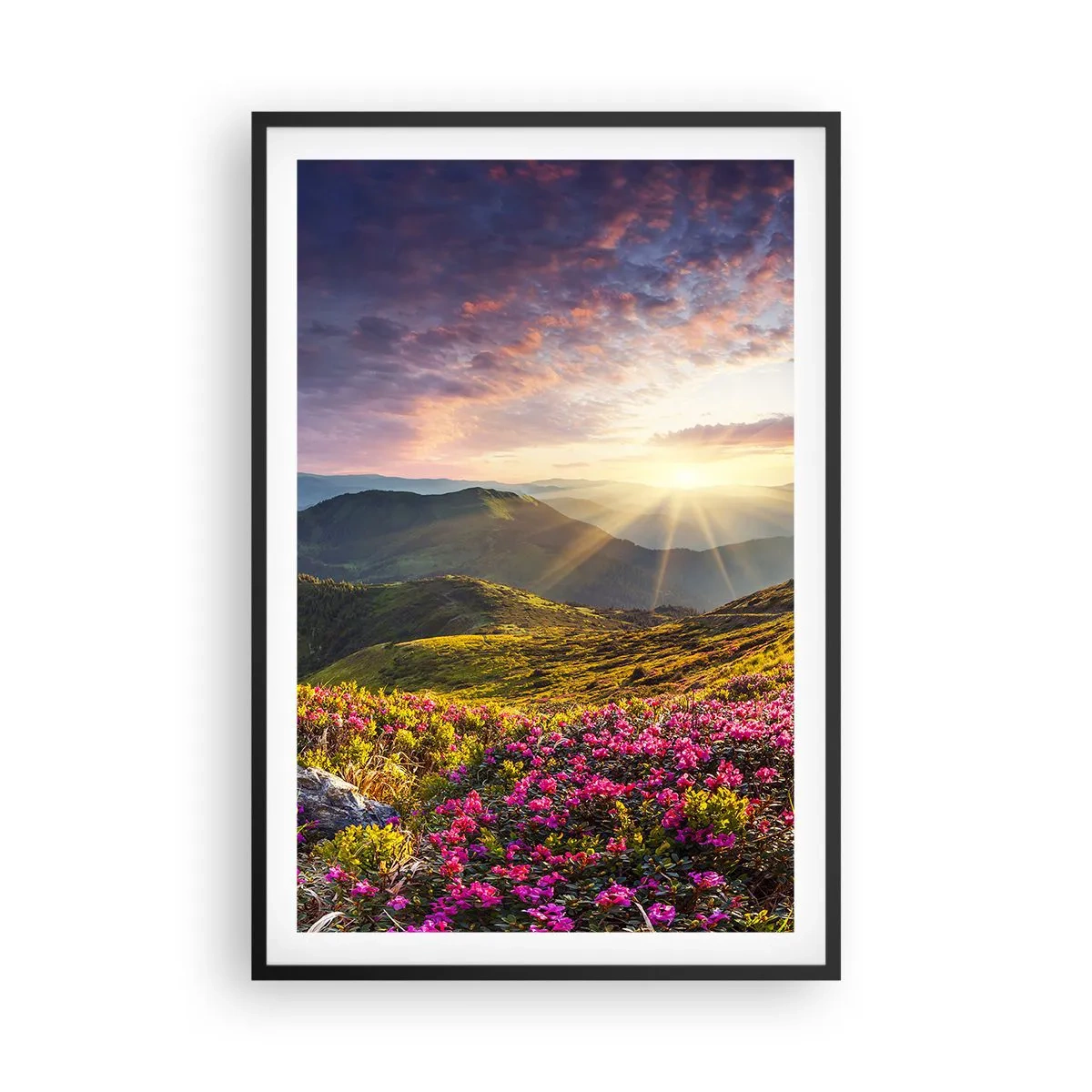 Poster in einem schwarzem Rahmen - Frische am Bergmorgen - 61x91 cm