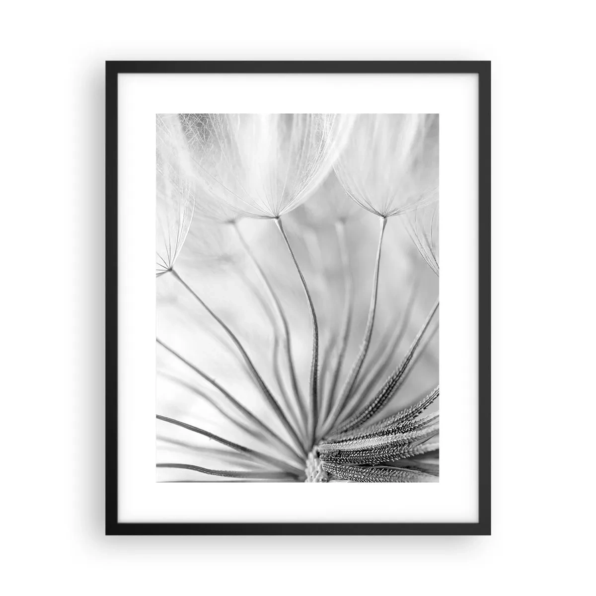 Poster in einem schwarzem Rahmen - Löwenzahn, Drachen - 40x50 cm