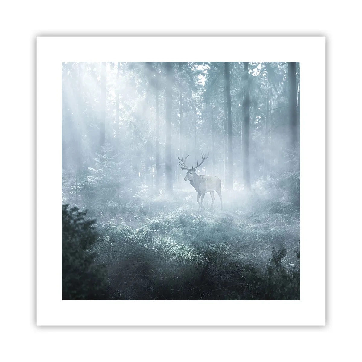 Poster - Morgenvisite auf dem Grundstück - 40x40 cm