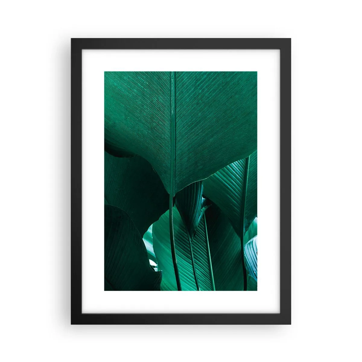 Poster in einem schwarzem Rahmen - Dem Licht zugewandt - 30x40 cm