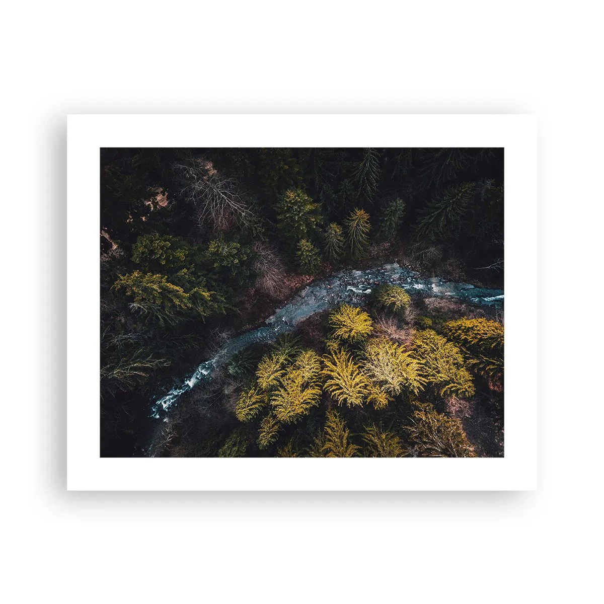 Poster - Schnell und immer schneller - 50x40 cm