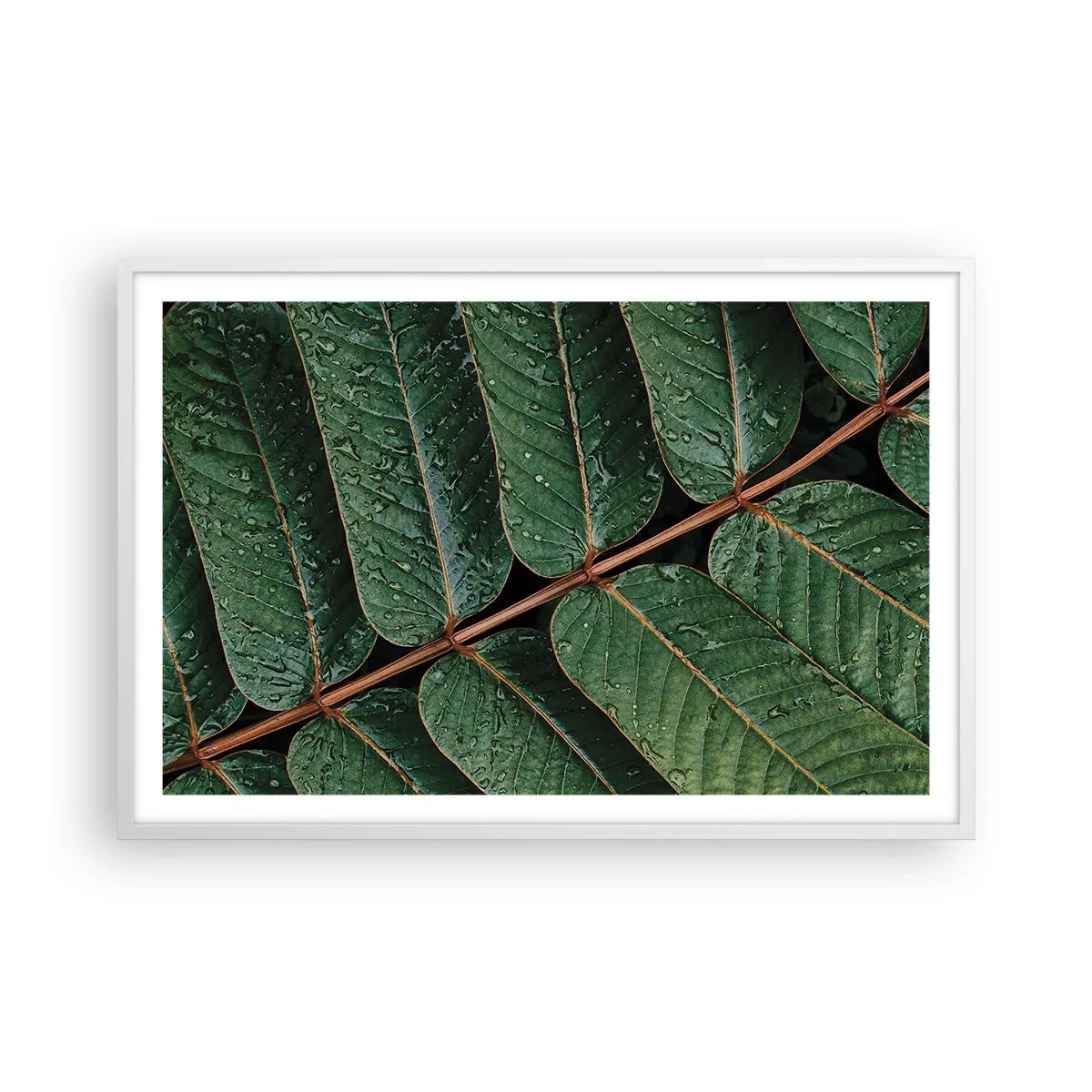 Poster in einem weißen Rahmen - Im grünen Rhythmus - 91x61 cm