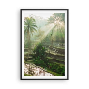 Poster in einem schwarzem Rahmen - In der Sonne aufwachsen - 61x91 cm