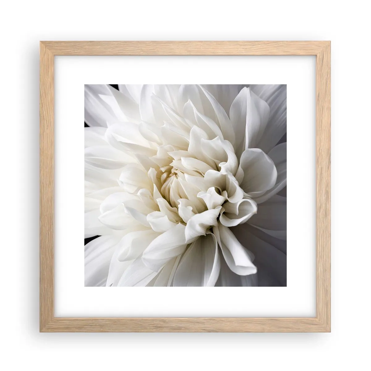 Poster in einem Rahmen aus heller Eiche - Der Morgen der Braut - 30x30 cm