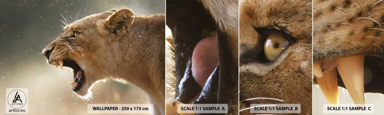 Fototapeten Muster Selbstklebend Deluxe Sticker - Versuch, nicht zuzuhören - Tiere, Löwe, Afrika - 100x30 cm